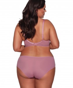 М'який бюстгальтер бузкового кольору з чашками з ніжного мережива для жінок з великими грудьми Ava 1396 Lily Maxi М'який бюстгальтер бузкового кольору з чашками з ніжного мережива для жінок з великими грудьми Ava 1396 Lily Maxi