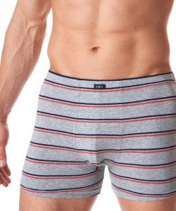 Набір чоловічих бавовняних трусів боксерів у смужку Key MXH 038 B23