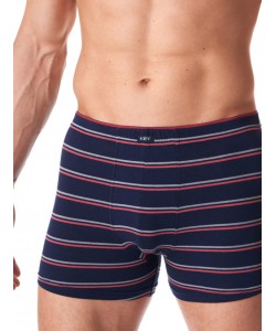Набір чоловічих бавовняних трусів боксерів у смужку Key MXH 038 B23 Набір чоловічих бавовняних трусів боксерів у смужку Key MXH 038 B23