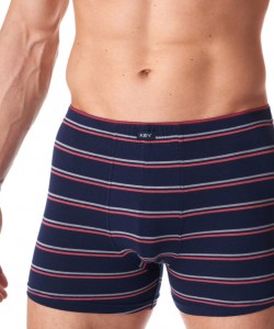 Набір чоловічих бавовняних трусів боксерів у смужку Key MXH 038 B23