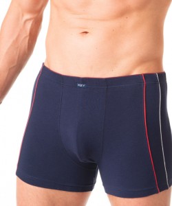 Труси чоловічі боксери з гладкої м'якої бавовни з контрастними вертикальними смужками Key MXH 174 A24 Труси чоловічі боксери з гладкої м'якої бавовни з контрастними вертикальними смужками Key MXH 174 A24