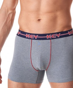 Чоловічі труси боксери з м'якої бавовни Key MXH 177 B23 Чоловічі труси боксери з м'якої бавовни Key MXH 177 B23
