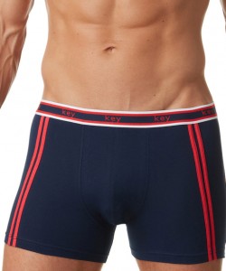 Чоловічі бавовняні труси боксери Key MXH 219 A22 Чоловічі бавовняні труси боксери Key MXH 219 A22