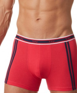 Чоловічі бавовняні труси боксери Key MXH 219 A22