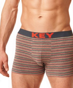 Чоловічі бавовняні труси боксери в смужку Key MXH 326 A23 Чоловічі бавовняні труси боксери в смужку Key MXH 326 A23