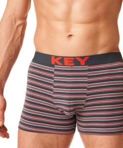 Чоловічі бавовняні труси боксери в смужку Key MXH 326 A23
