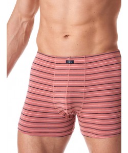 Набір чоловічих бавовняних трусів боксерів у смужку Key MXH 355 B23