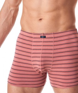 Набір чоловічих бавовняних трусів боксерів у смужку Key MXH 355 B23