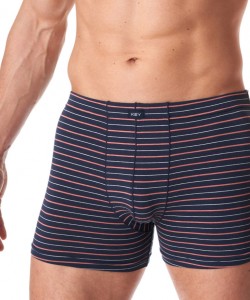 Набір чоловічих бавовняних трусів боксерів у смужку Key MXH 355 B23