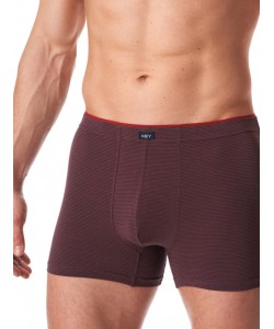 Чоловічі труси боксери з м'якої бавовни в смужку Key MXH 358 B23