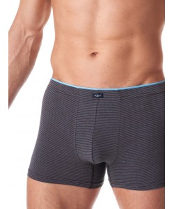 Чоловічі труси боксери з м'якої бавовни в смужку Key MXH 358 B23