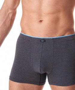 Чоловічі труси боксери з м'якої бавовни в смужку Key MXH 358 B23