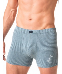 Труси боксери чоловічі з м'якої бавовни в тонку смужку з декоративним принтом Key MXH 367 3XL-4XL