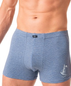 Труси боксери чоловічі з м'якої бавовни в тонку смужку з декоративним принтом Key MXH 367 A24