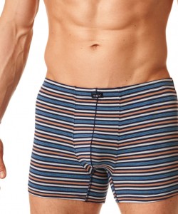 Чоловічі бавовняні смугасті труси боксери Key MXH 384 A23