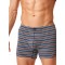 Чоловічі бавовняні смугасті труси боксери Key MXH 384 A23