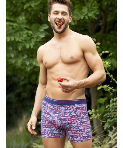 Чоловічі бавовняні труси боксери з яскравим узором Key MXH 832 A23