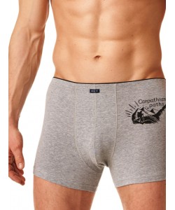 Чоловічі бавовняні труси боксери з принтом Key MXH 868 A23