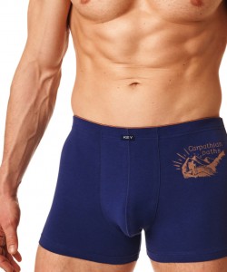 Чоловічі бавовняні труси боксери з принтом Key MXH 868 A23