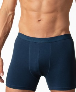 Чоловічі бавовняні труси боксери Key MXM 019