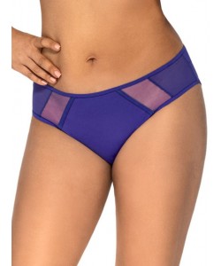 Жіночі трусики сліп з блискучою обробкою швів та прозорими вставками Ava 1030/1 Iris