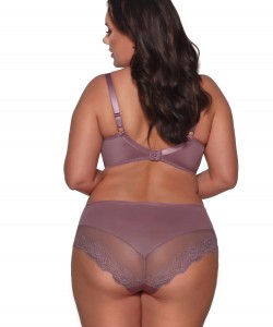 Жіночі трусики сліп з мікрофібри та ніжного мережива з високою талією Ava 1030 Orchid Жіночі трусики сліп з мікрофібри та ніжного мережива з високою талією Ava 1030 Orchid