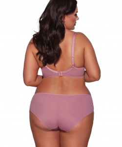 Жіночі трусики сліп бузкового кольору з ніжної мікросітки з мереживною вставкою Ava 1396 Lily