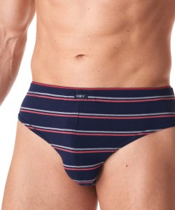 Комплект чоловічих бавовняних трусів брифів у смужку (2 шт синього та сірого кольорів) Key MPP 038 B23