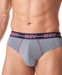 Комплект чоловічих бавовняних трусів сліп (2 шт синього та сірого кольорів) Key MPP 177 B23 Комплект чоловічих бавовняних трусів сліп (2 шт синього та сірого кольорів) Key MPP 177 B23
