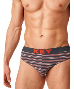 Комплект чоловічих бавовняних трусів брифів у смужку (2 шт різних кольорів) Key MPP 326 A23 Комплект чоловічих бавовняних трусів брифів у смужку (2 шт різних кольорів) Key MPP 326 A23