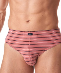 Комплект чоловічих бавовняних трусів брифів у смужку (2 шт синього та червоного кольорів) Key MPP 355 B23 Комплект чоловічих бавовняних трусів брифів у смужку (2 шт синього та червоного кольорів) Key MPP 355 B23