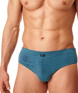 Набір чоловічих бавовняних трусів брифів у смужку (2 шт. різних відтінків) Key MPP 396 B22