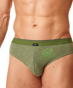 Набір чоловічих бавовняних трусів брифів у спортивному стилі (2 шт зеленого та синього кольорів) Key MPP 397 B22