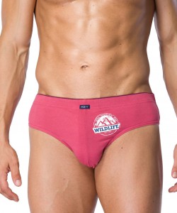 Комплект чоловічих трусів сліп з принтом Key MPP 716 A21 (2 шт.) Комплект чоловічих трусів сліп з принтом Key MPP 716 A21 (2 шт.)