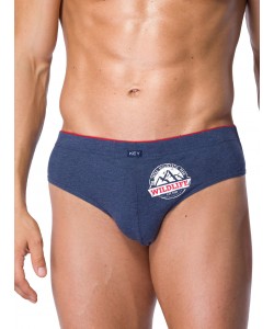 Комплект чоловічих трусів сліп з принтом Key MPP 716 A21 (2 шт.)