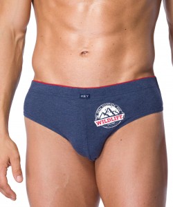 Комплект чоловічих трусів сліп з принтом Key MPP 716 A21 (2 шт.)