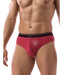 Комплект чоловічих бавовняних трусів сліп Key MPP 763 B21 (2 шт.)