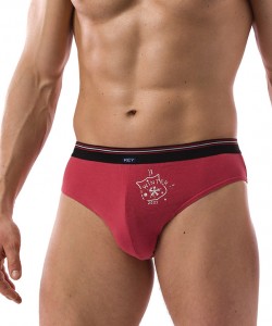 Комплект чоловічих бавовняних трусів сліп Key MPP 763 B21 (2 шт.)