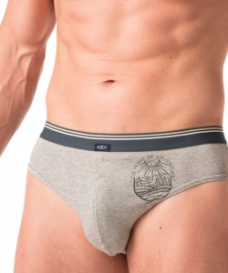 Комплект чоловічих трусів сліп з м'якої бавовни з ніжним принтом (2 шт. різних кольорів) Key MPP 776 A24