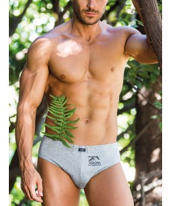 Комплект чоловічих трусів сліп із однотонної бавовни з декоративним принтом (2 шт сірого та чорного кольорів) Key MPP 777 A24