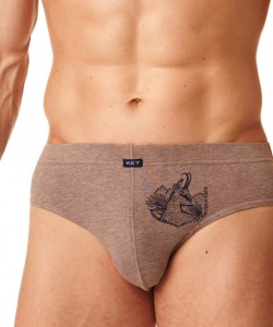 Набір чоловічих бавовняних трусів брифів з принтом (2 шт бежевого та зеленого кольорів) Key MPP 864 B22