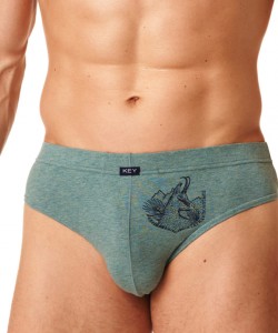 Набір чоловічих бавовняних трусів брифів з принтом (2 шт бежевого та зеленого кольорів) Key MPP 864 B22