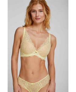 БЮСТГАЛЬТЕР Kleo 3515 DANDELION